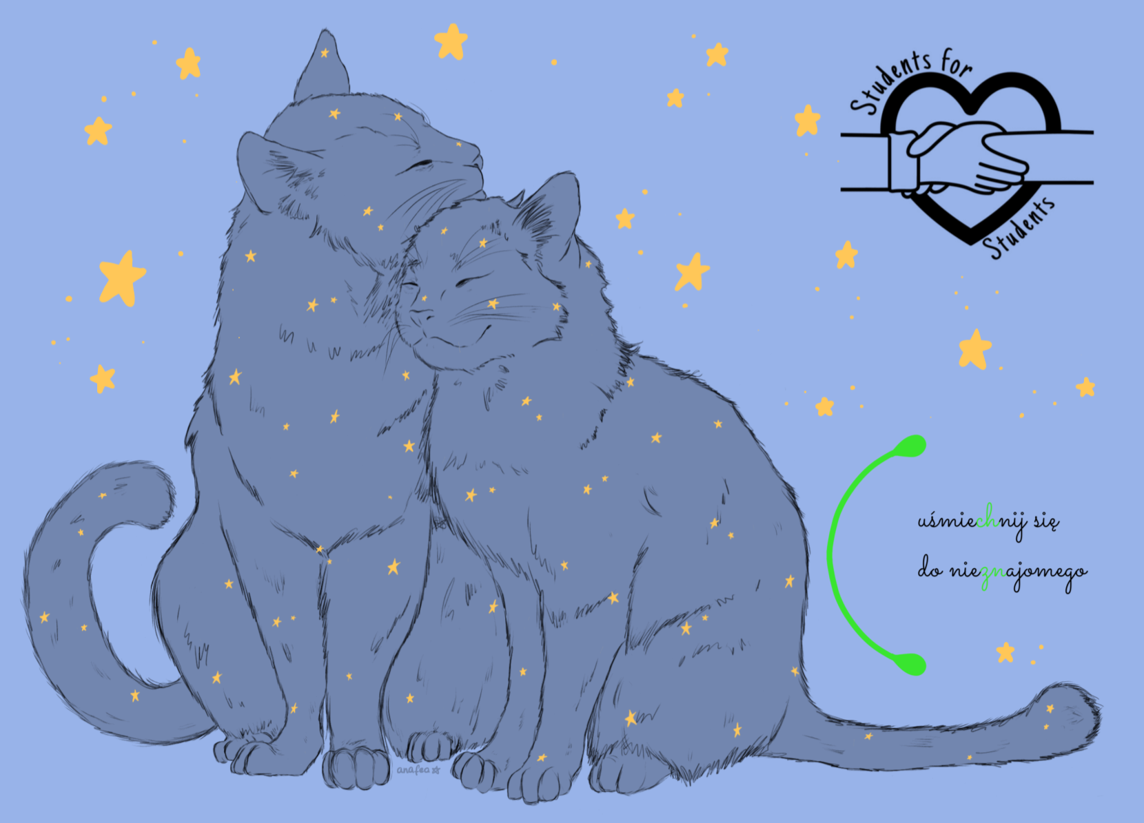 Starry cats